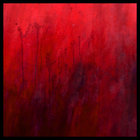 Fuck Marry Kill Daddy Issues