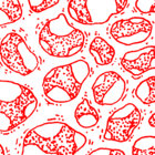 Red Sex Re Strung Feat Rakhi Singh Vessel Rakhi Singh Paplu