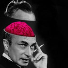 Because Fuck It Droon