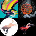 Because Fuck It Droon