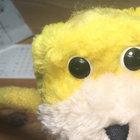 Levitation Sessions Babe Rainbow