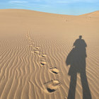 Levitation Sessions Babe Rainbow