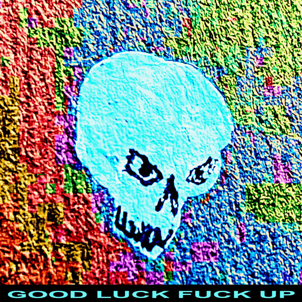 Good Luck Fuck Up Car Crash Bird Funeral Help Me Please God Anyone Help Me Records