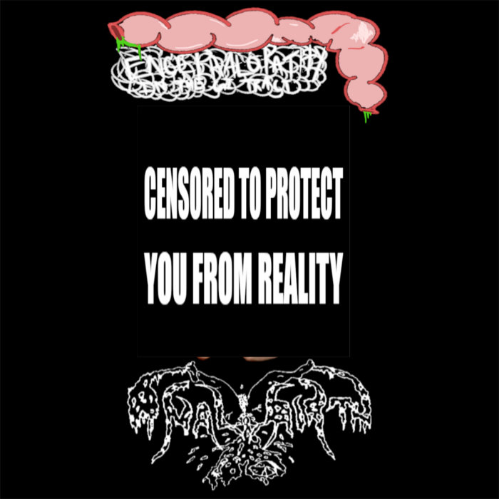 Untitled Tracks Anal Birth Vascula Vomit Records