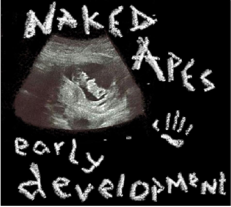 Early Development Naked Apes