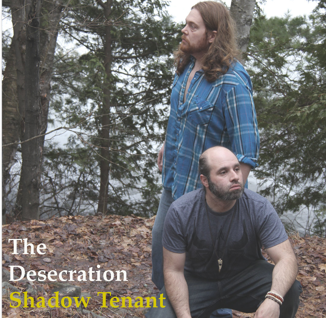 the desecration