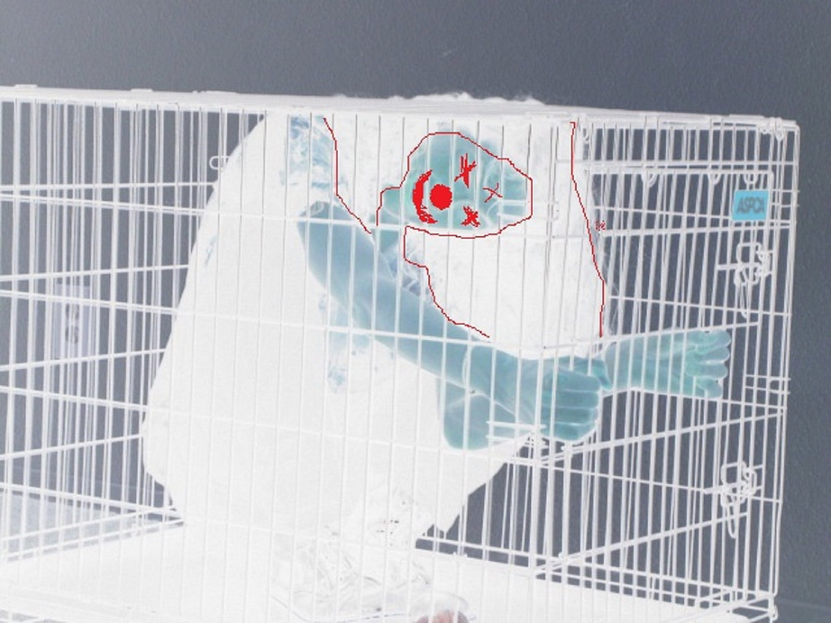 Doo Doo Missions Night E P Teepee Ass And HH Roid Teepee ASS And HH ROID