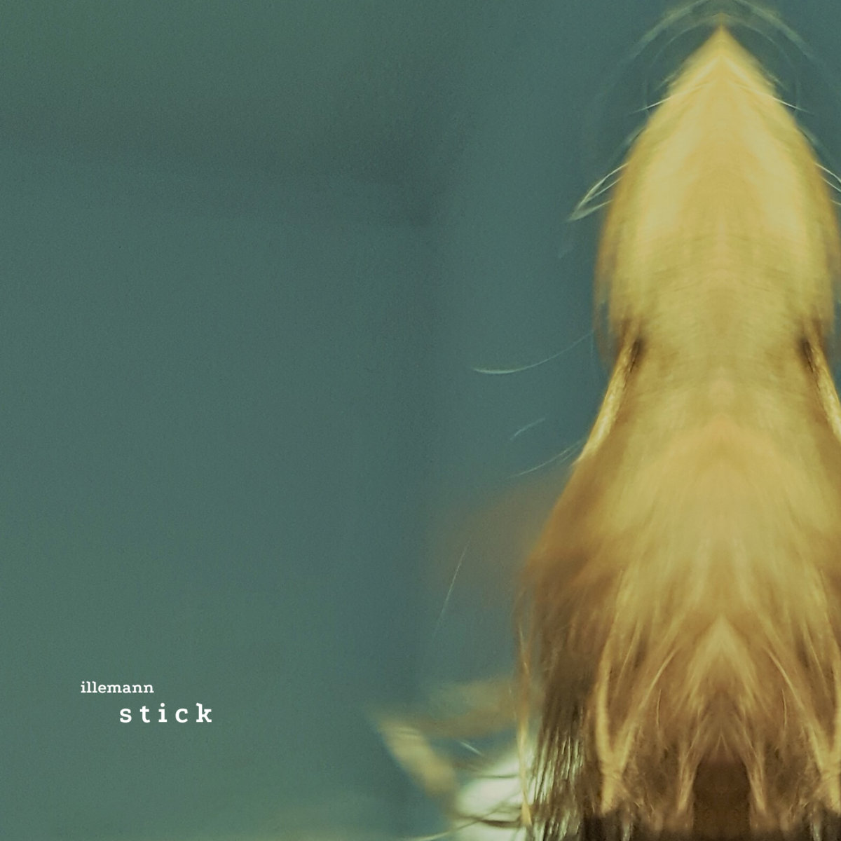 Beautiful Pussy Illemann