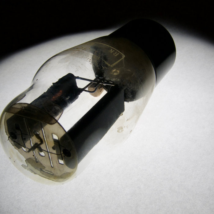 Flowers And Trees Electric Sex Circus