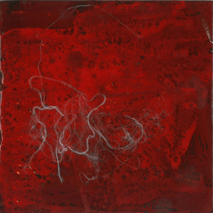 August 04 Tour Compilation Plague Bringer DuPage County Hardcore