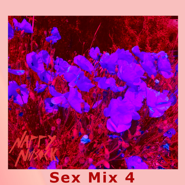 Sex Mix 4 Nappy Nutsock