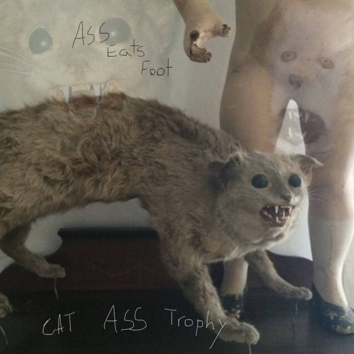 Cat Ass Trophy