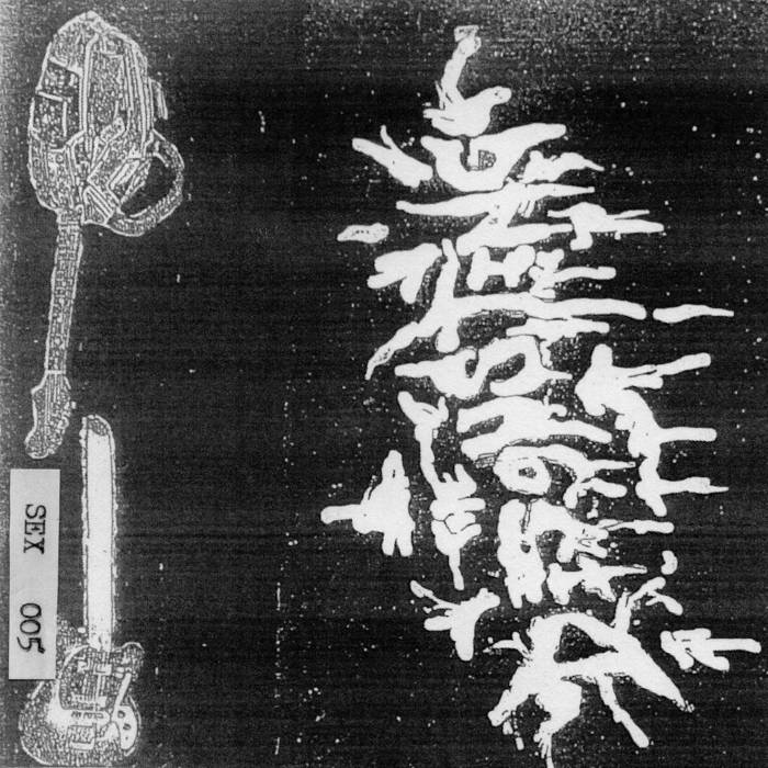 THE DISGUSTING THE DISGUSTING SEX FIEND ABOMINATION TAPES AND DISCS