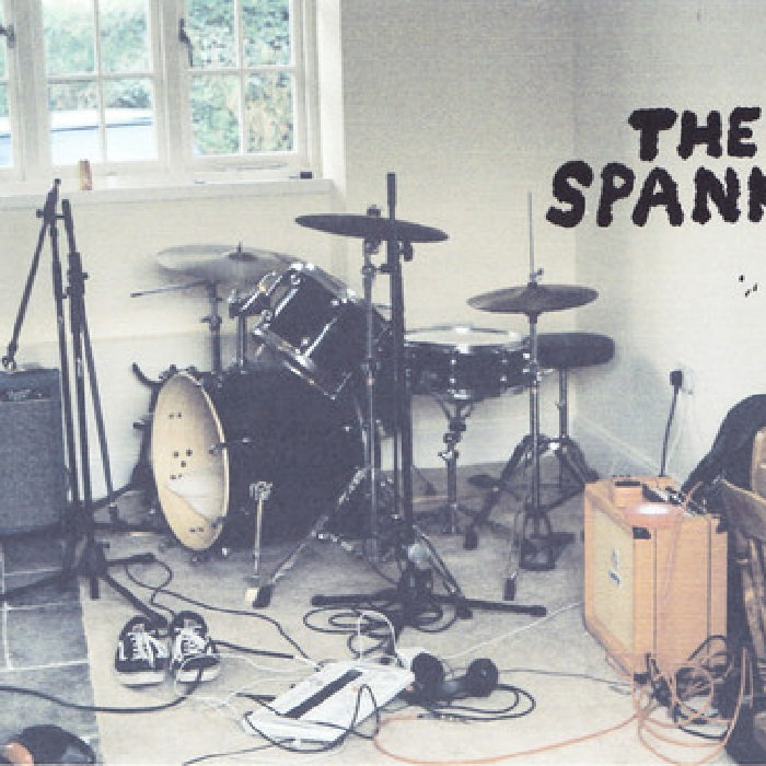 Spank You Very Much The Spankees