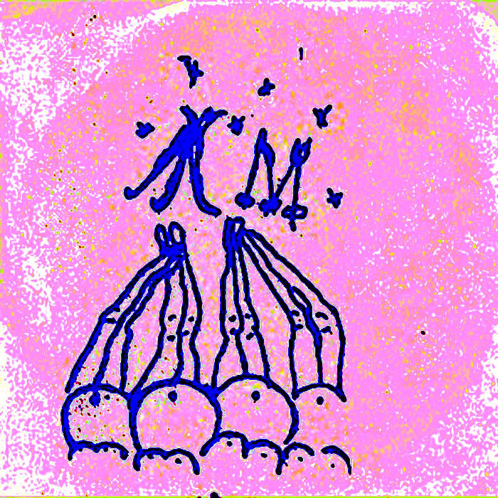 Road Pussy Magik Markers Arbitrary Signs