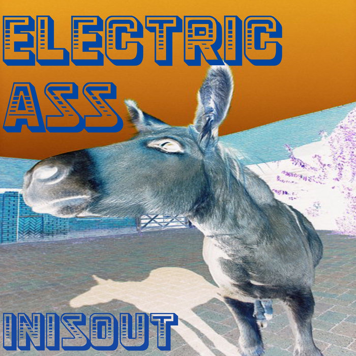 Electric Ass INISOUT