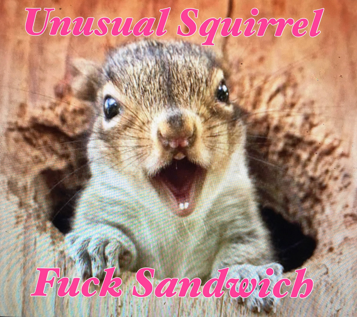Fuck Sandwich Unusual Squirrel