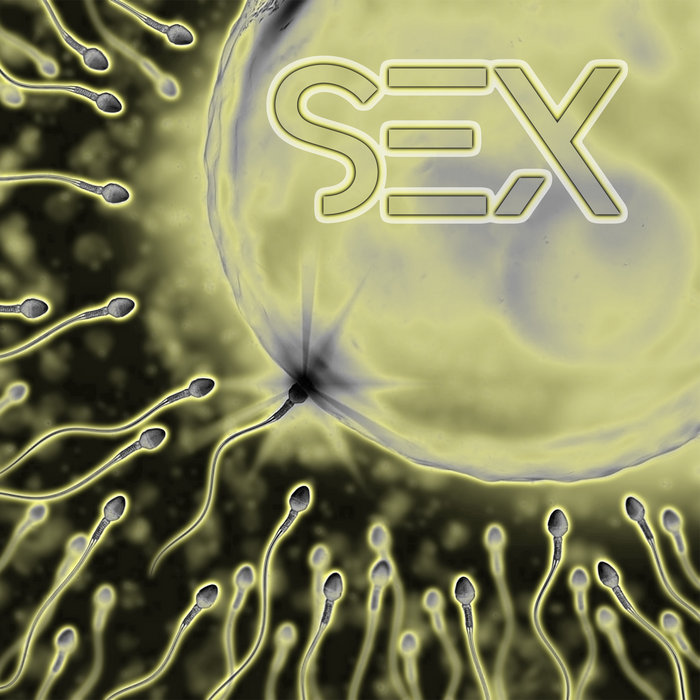 SEX Basement Spacetrails