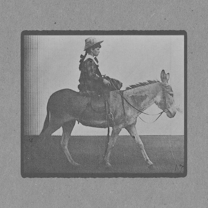 A Clothed Girl Riding A Saddled Ass Muybridge