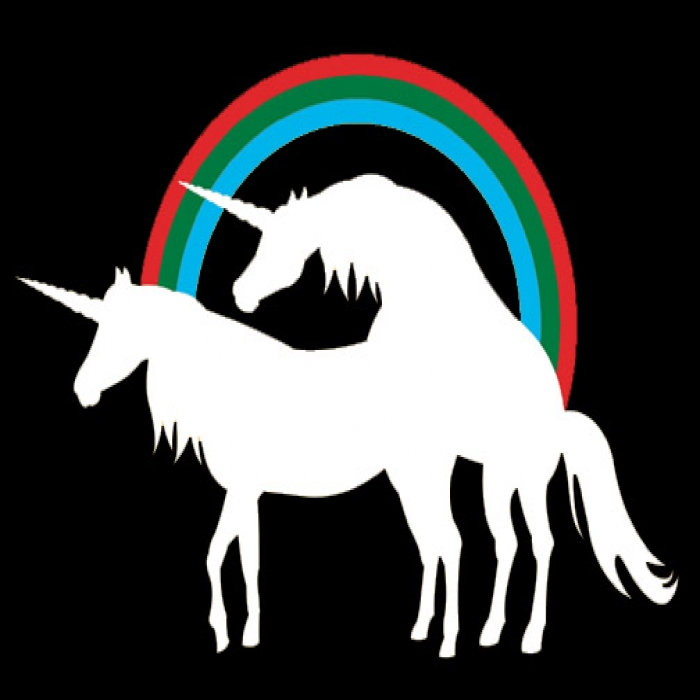 Unicorn Sex Aaron Zasler