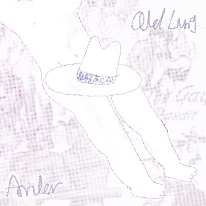 The Gay Bandit Andor OL LUNG Callous Quartz Records