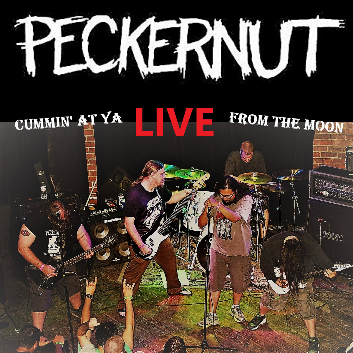 Paddle My Ass Peckernut