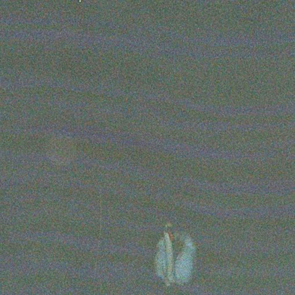 Pool COMMUNIST SEX MAGIC