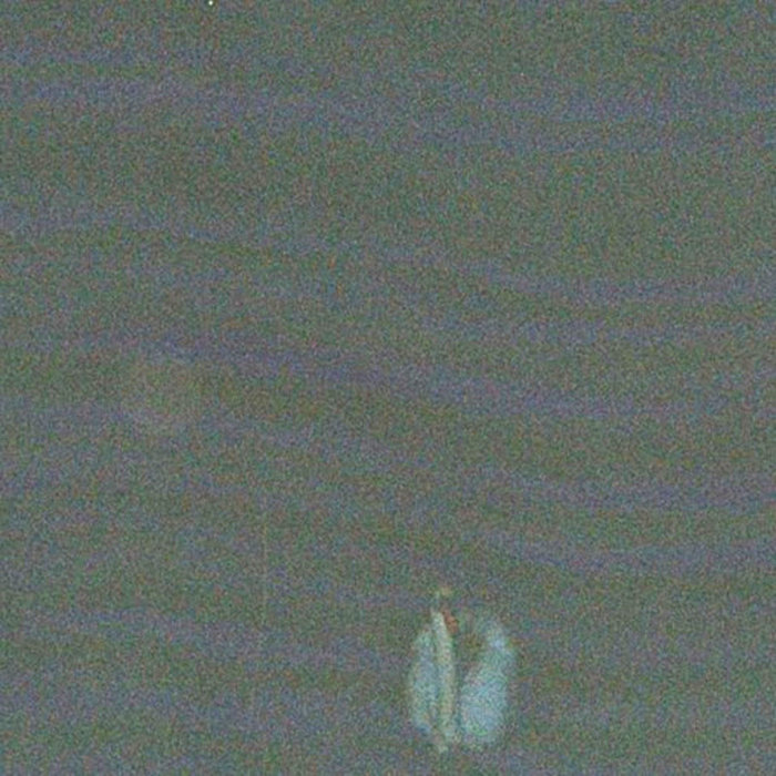 Pool COMMUNIST SEX MAGIC