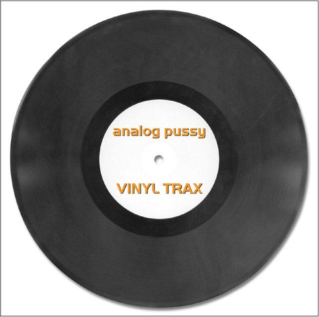 Vinyl Trax Analog Pussy