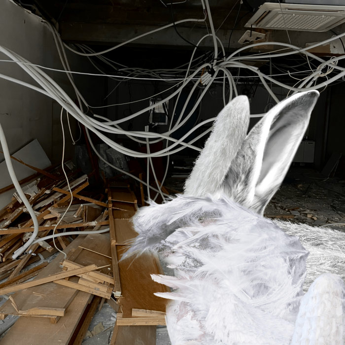 Naked Trans Before The World Ends PANDARA