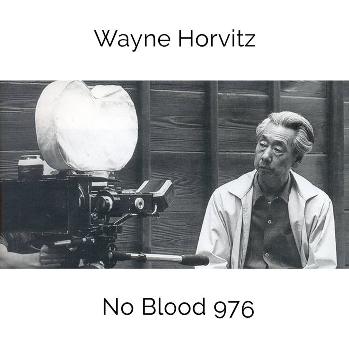 Wayne Horvitz