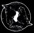 Salt Mine image