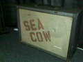 Sea Cow image