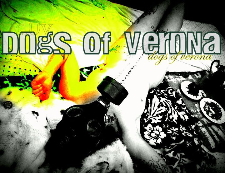 verona dogs dogs of verona verona dogs dogs of verona