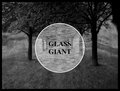 Glass Giant image
