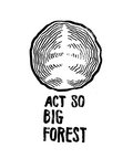 Act So Big Forest Family image
