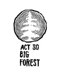 actsobigforest.bandcamp.com