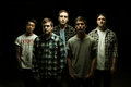 Counterparts image