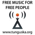 Tunguska Electronic Music Society image