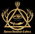 Seven Headed Cobra image