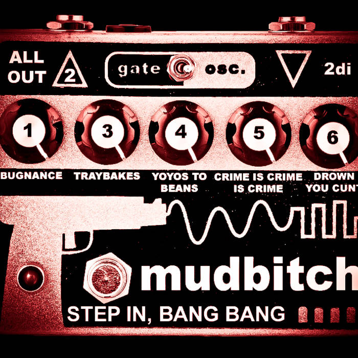 Mudbitch cover