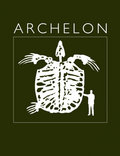 Archelon image