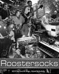 Roostersocks image