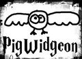 Pigwidgeon image