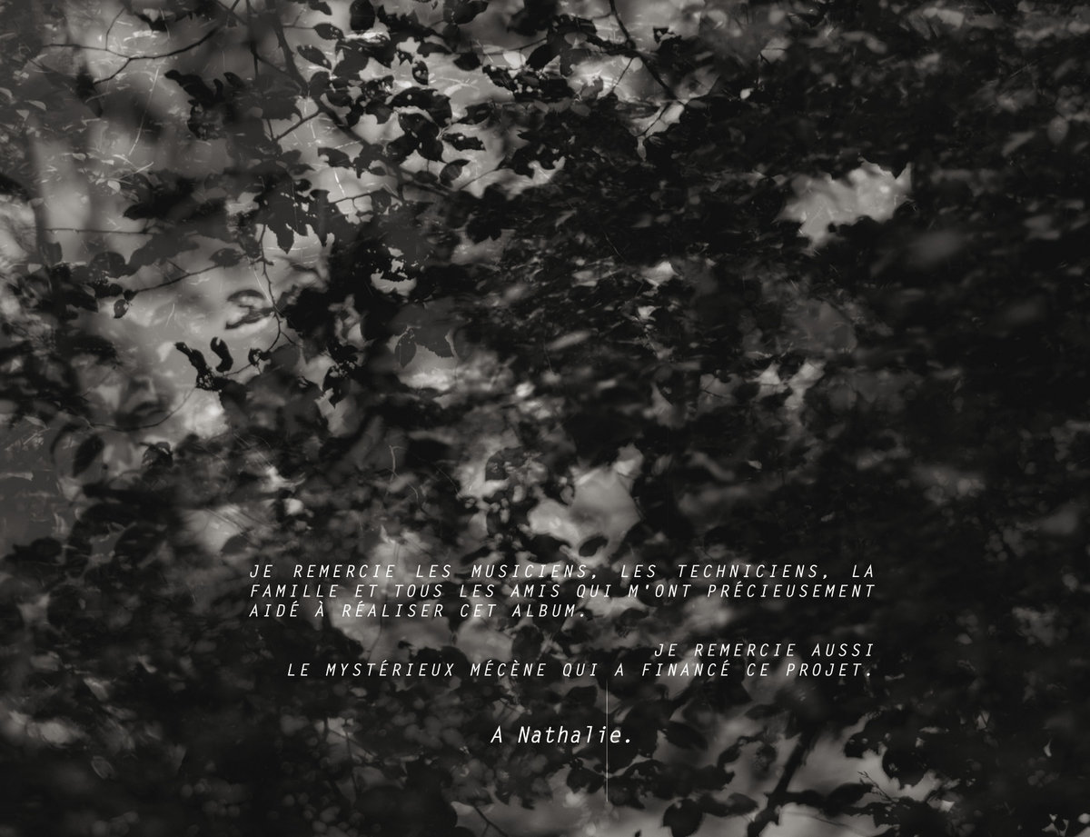 PPT - Faux amis PowerPoint Presentation, free download - ID:2036736, image size:1200x921