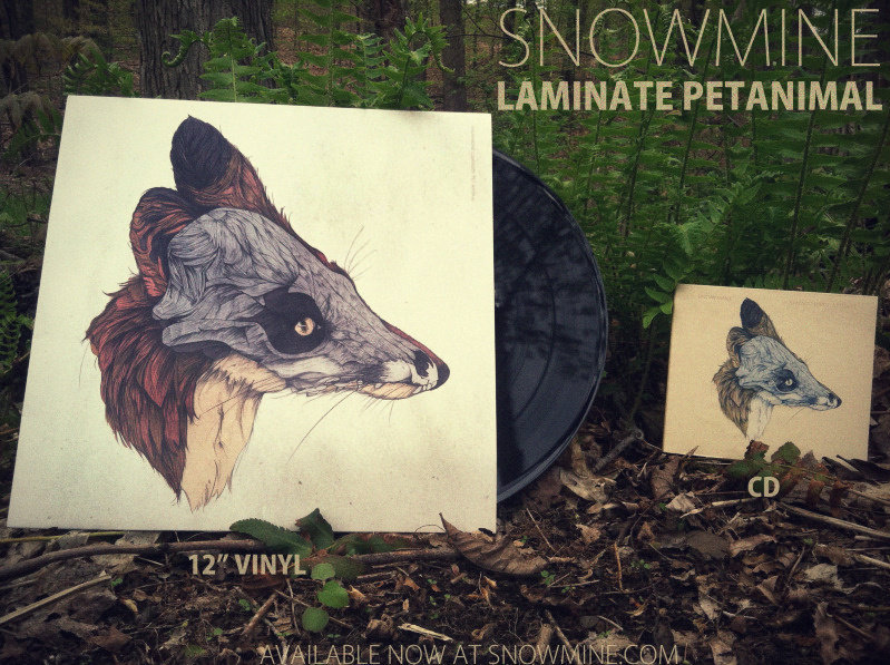 Album of the Week Laminate Pet Animal Bandcamp Daily