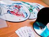 2xLP Vinyl Picture Discs photo 