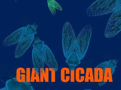 Giant Cicada EP main photo