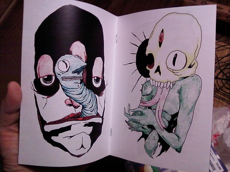 Zine Record Extraordinary Pigeons - 