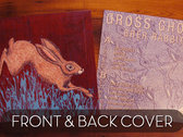 Brer Rabbit (digital album) photo 